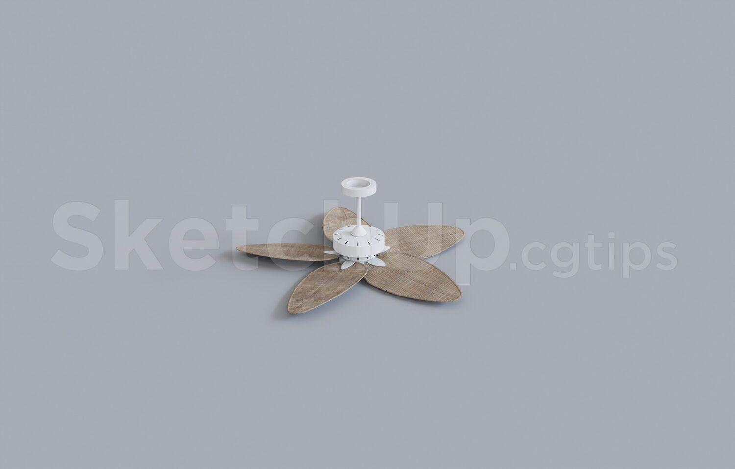Ceiling Fans