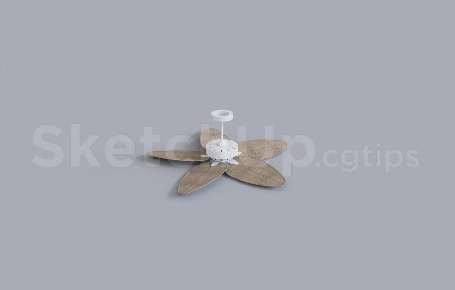 Ceiling Fans