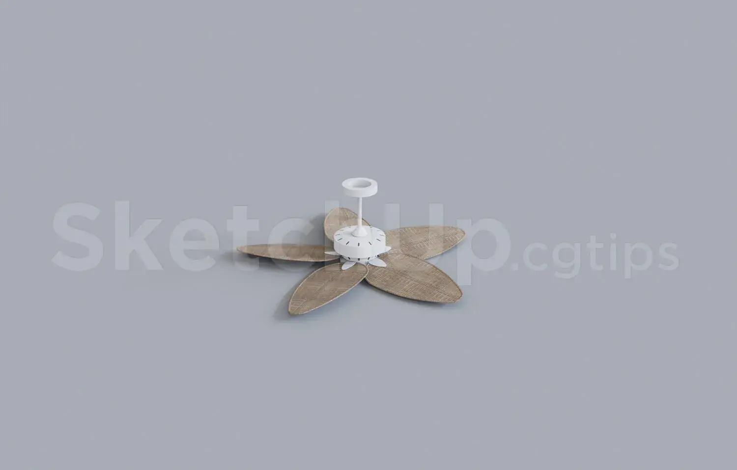 Ceiling Fans