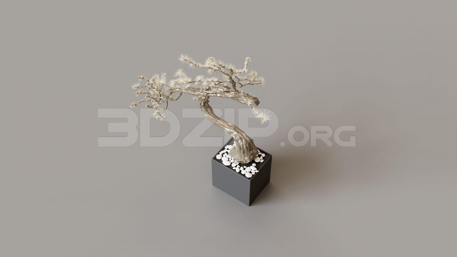 BonSai Tree