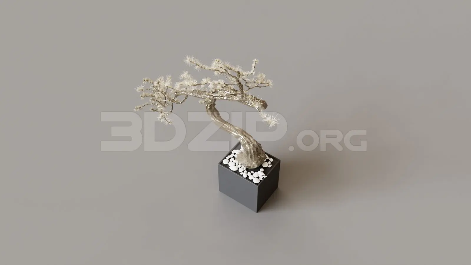 BonSai Tree