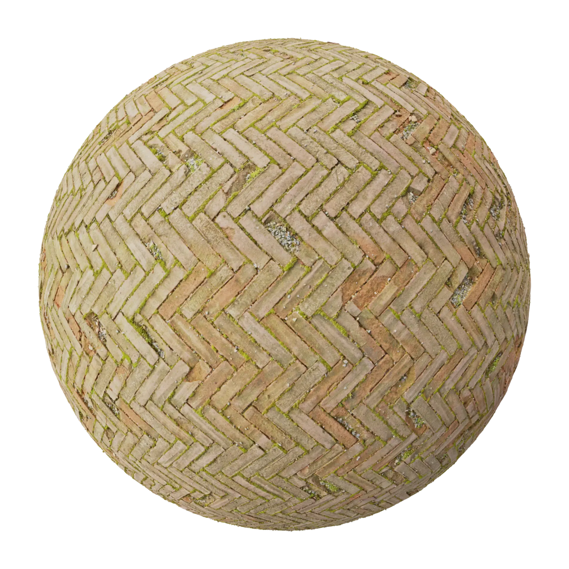 Paving Stones 056