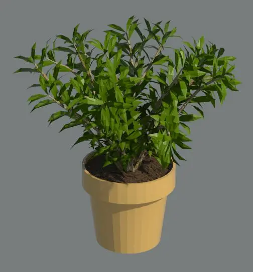 3D Plant — preview 1, by SketchUp (RevitCity, CC0)