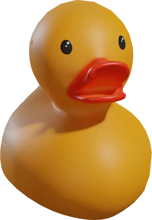 Rubber Duck Toy