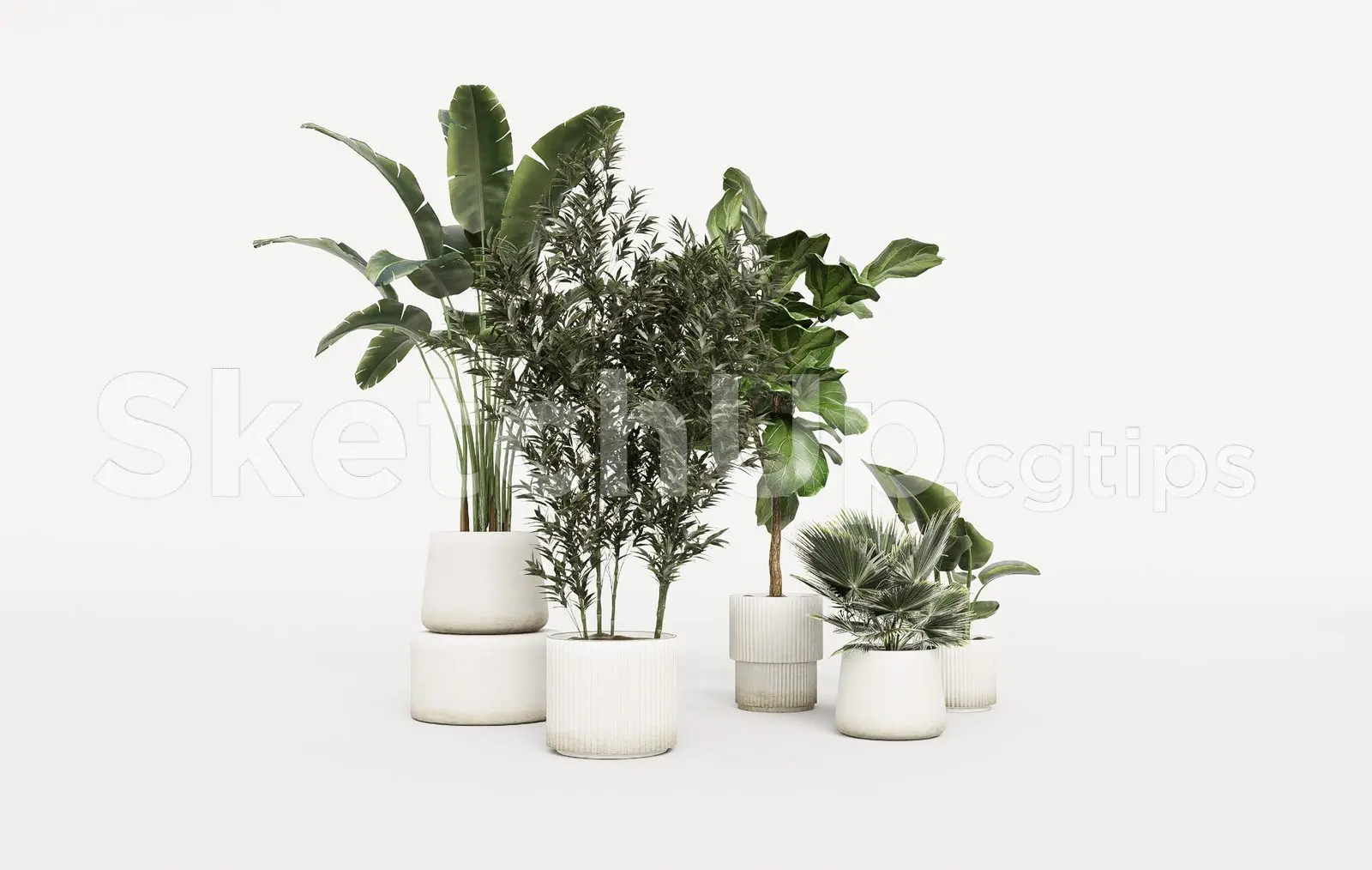 Plant