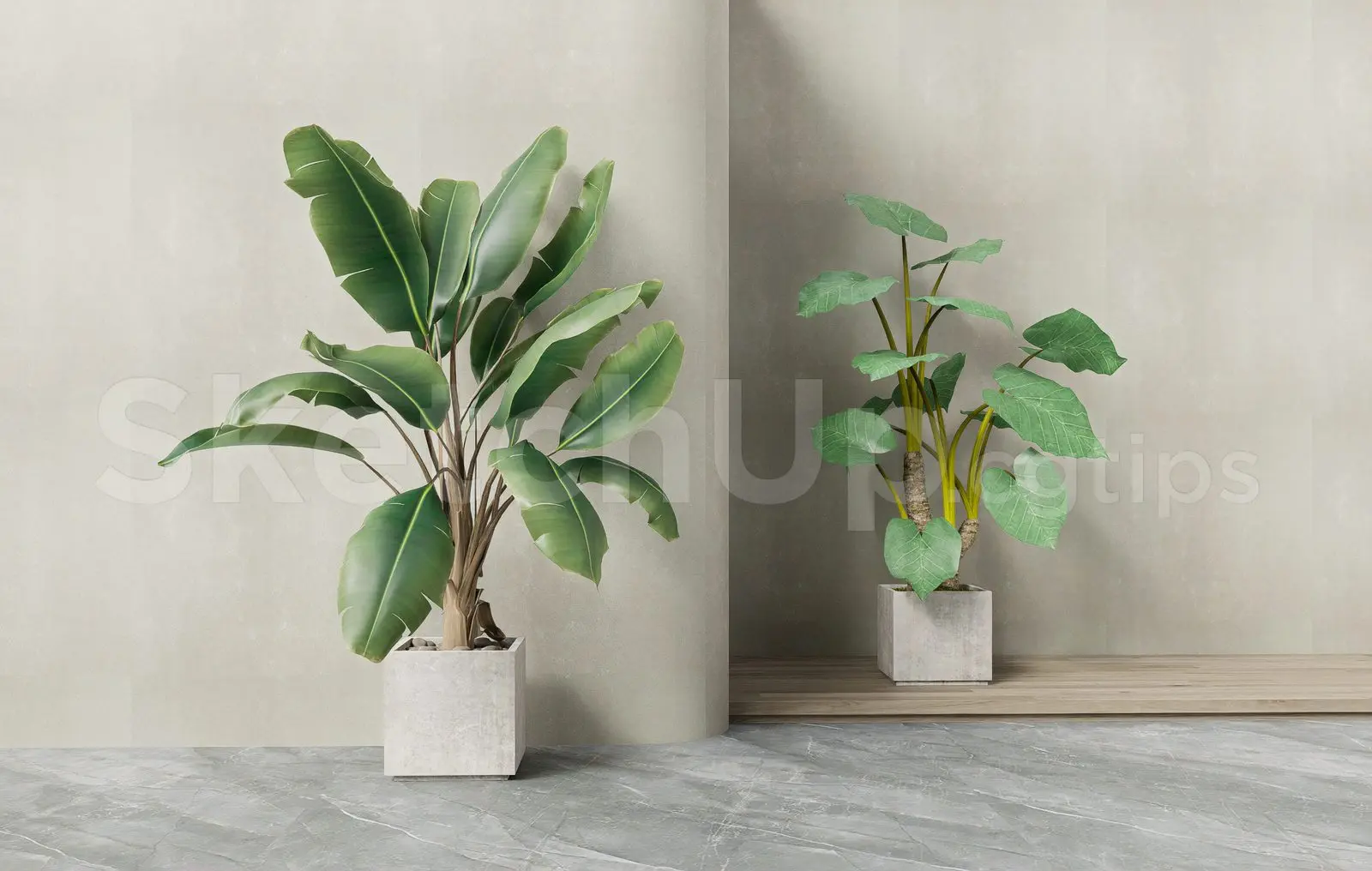 Plant — preview 1 (cgtips)