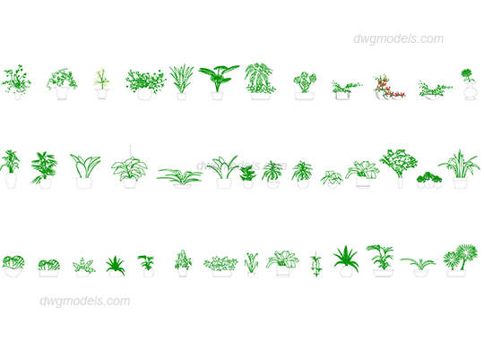 Plants 1