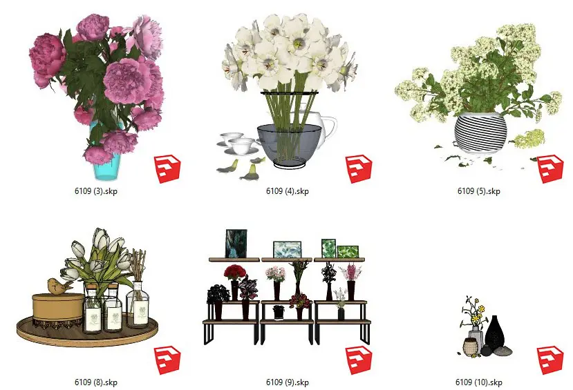 Plants