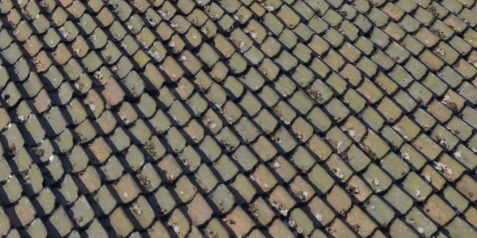 Roof 7