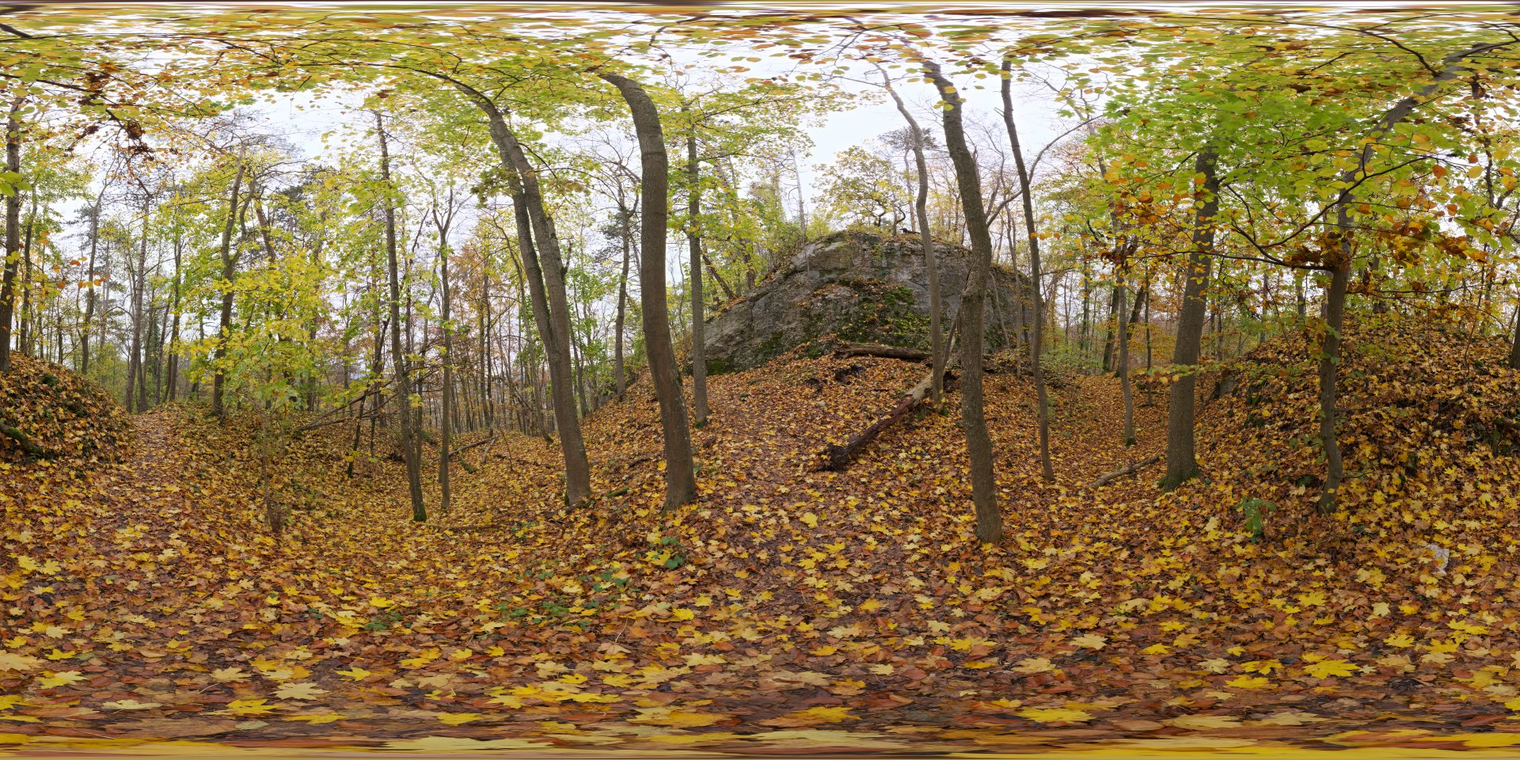 Autumn Forest 1