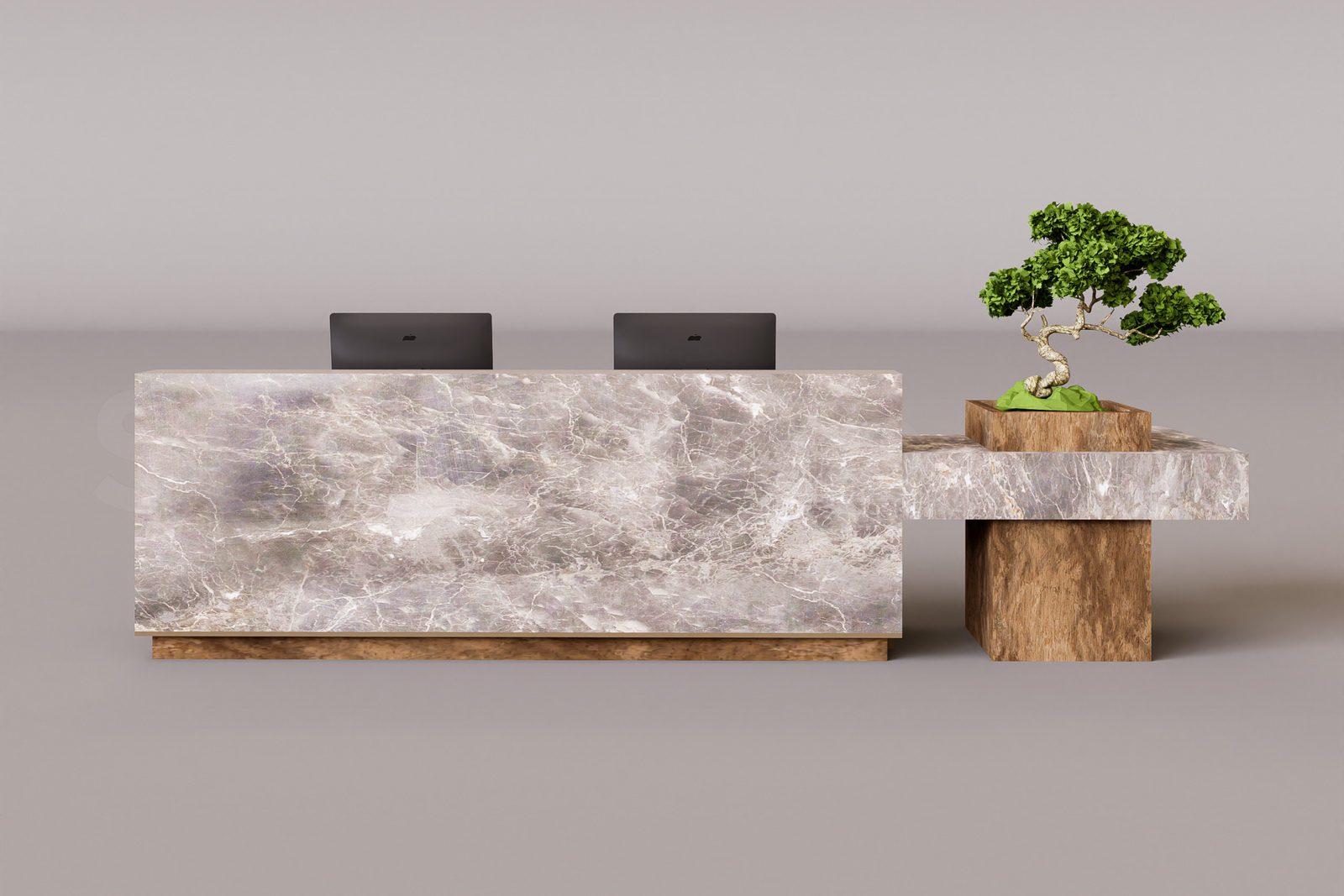 Reception Desk