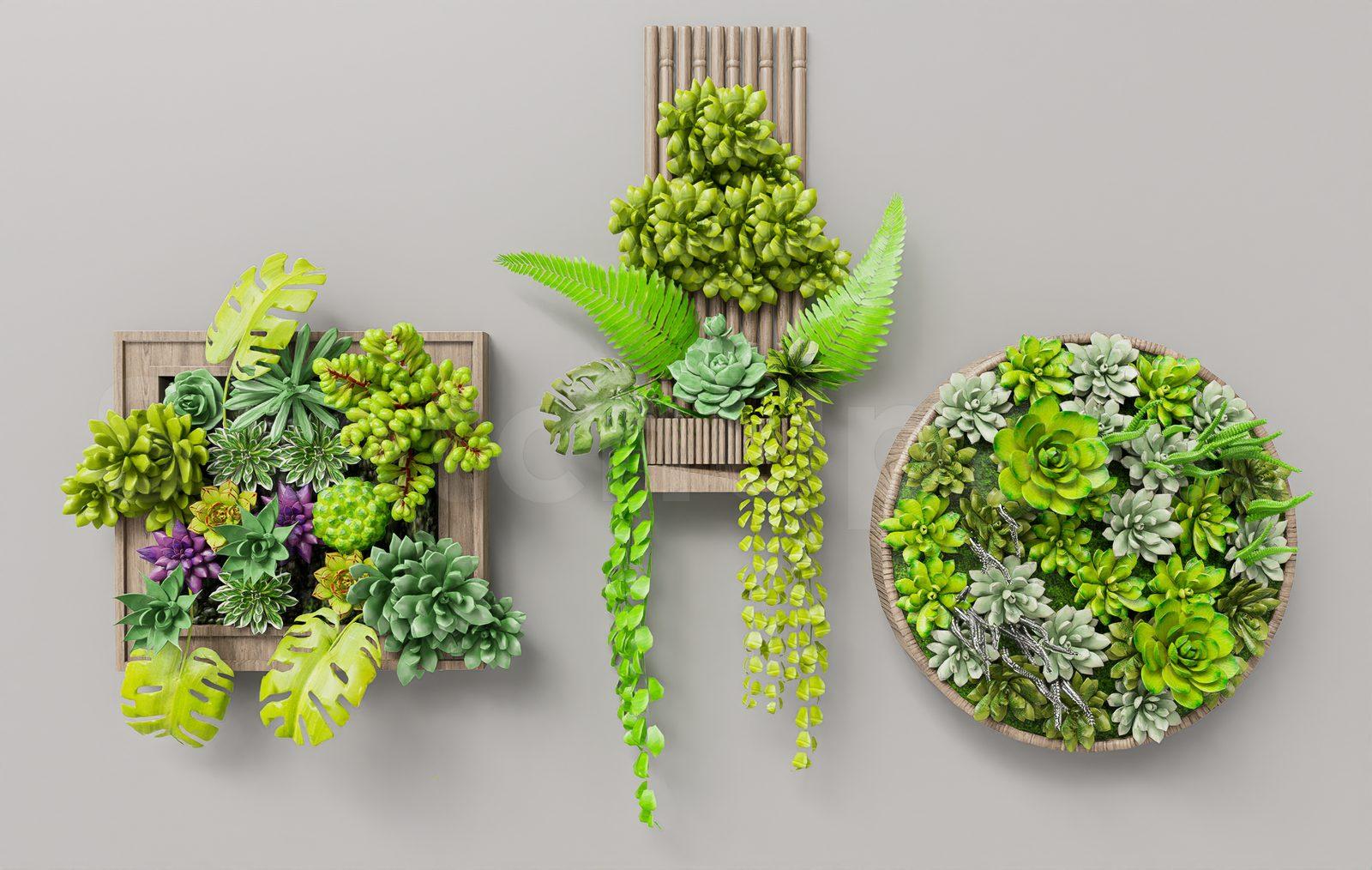 Wall Decoration