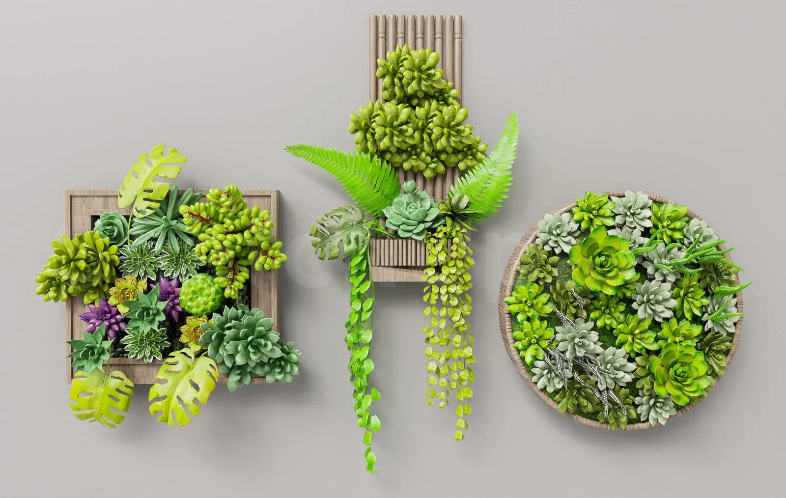 Wall Decoration