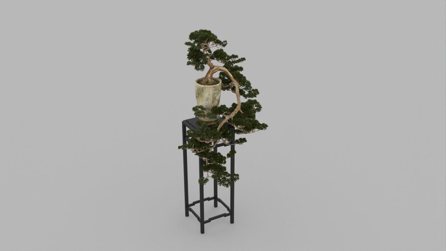 Plant