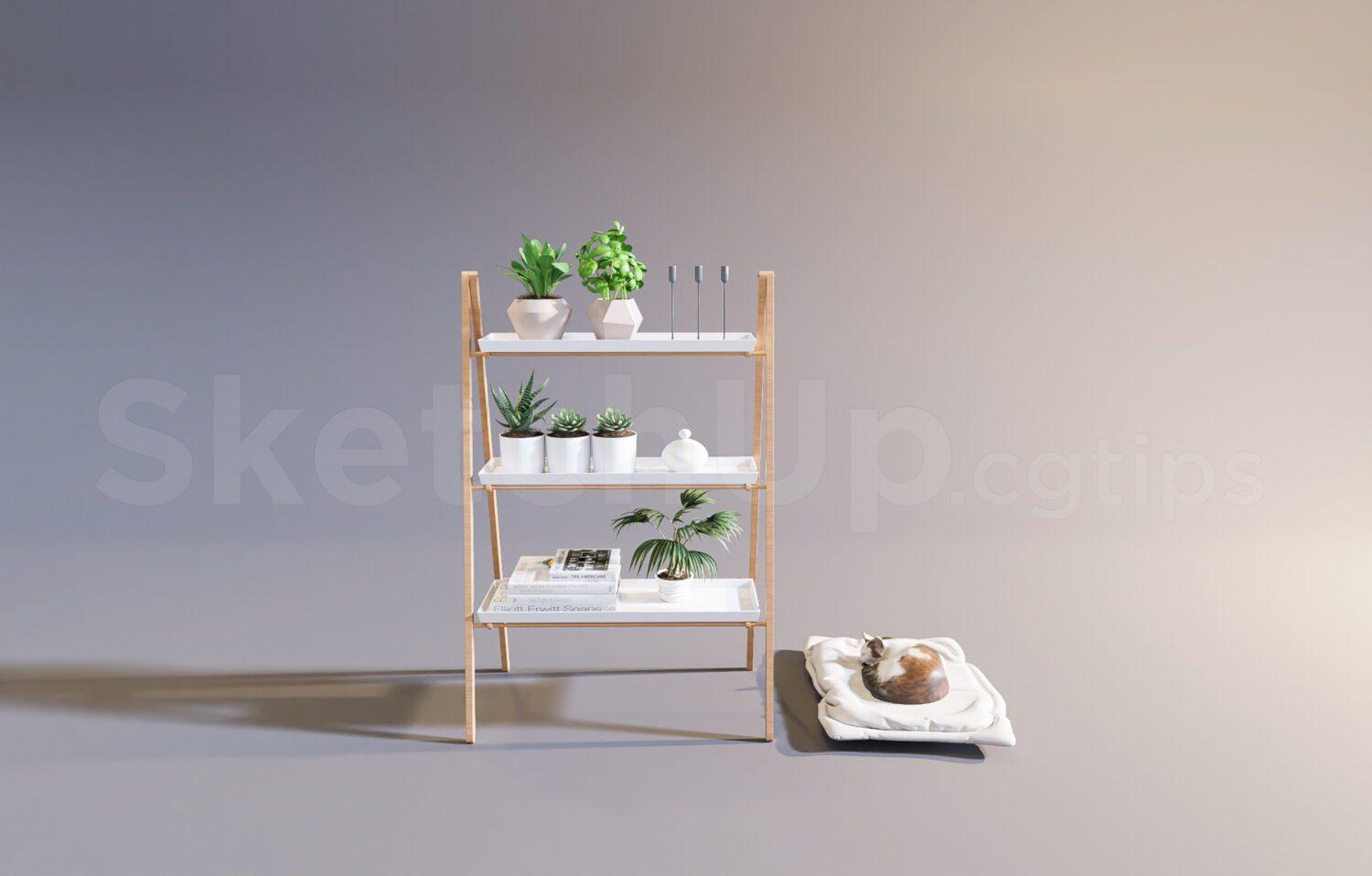 Decorative Shelves