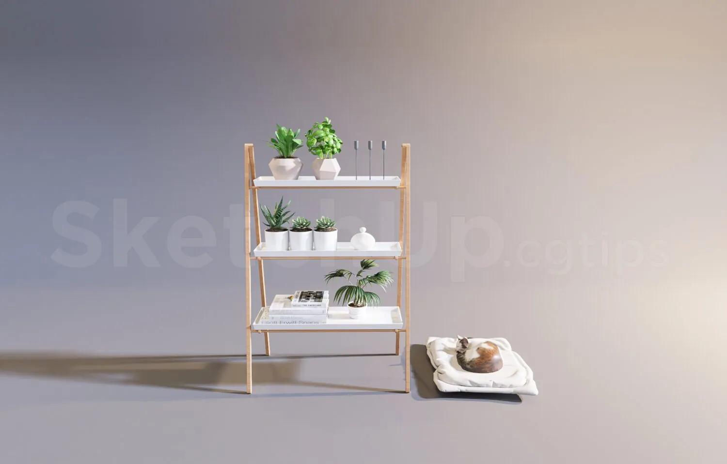 Decorative Shelves