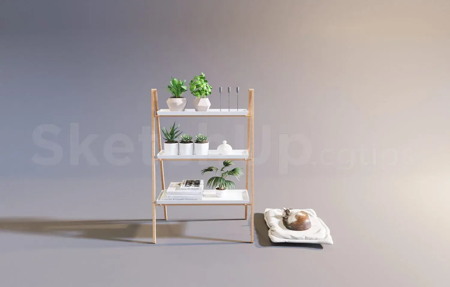Decorative Shelves