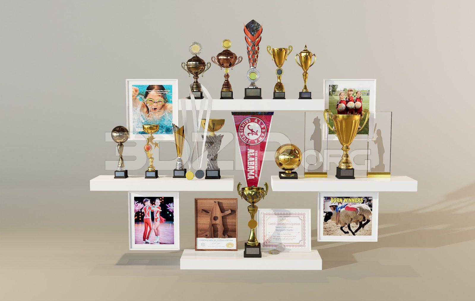 Various Types Of Trophies And Cups