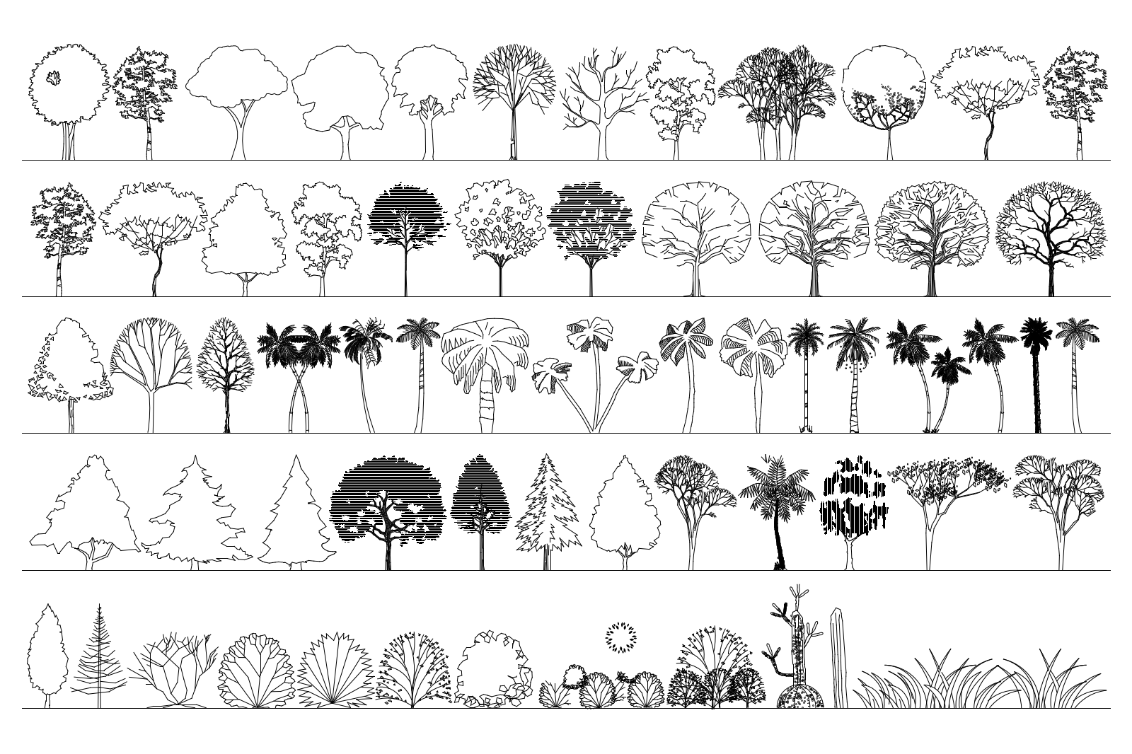 Trees 1