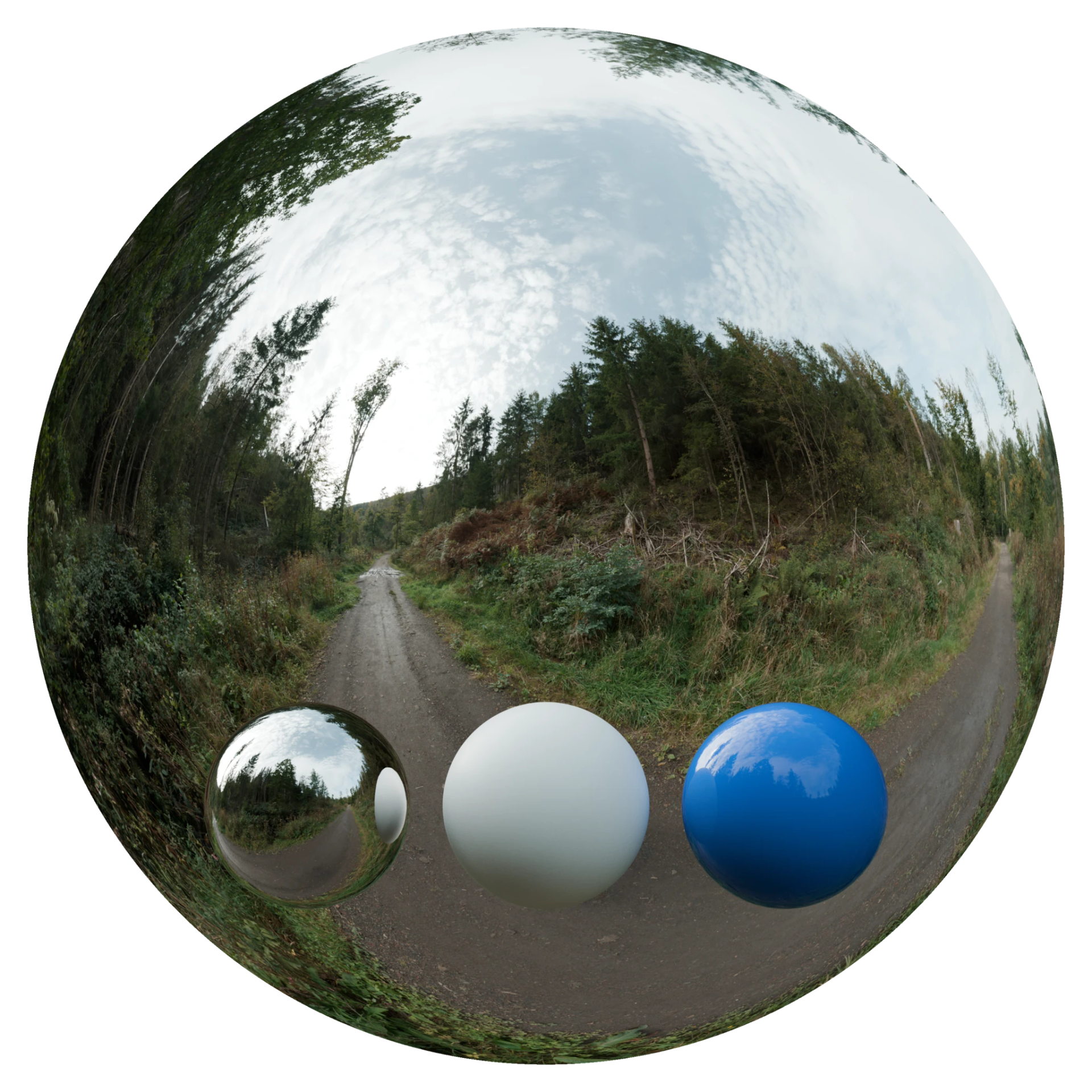 Day Environment HDRI 042
