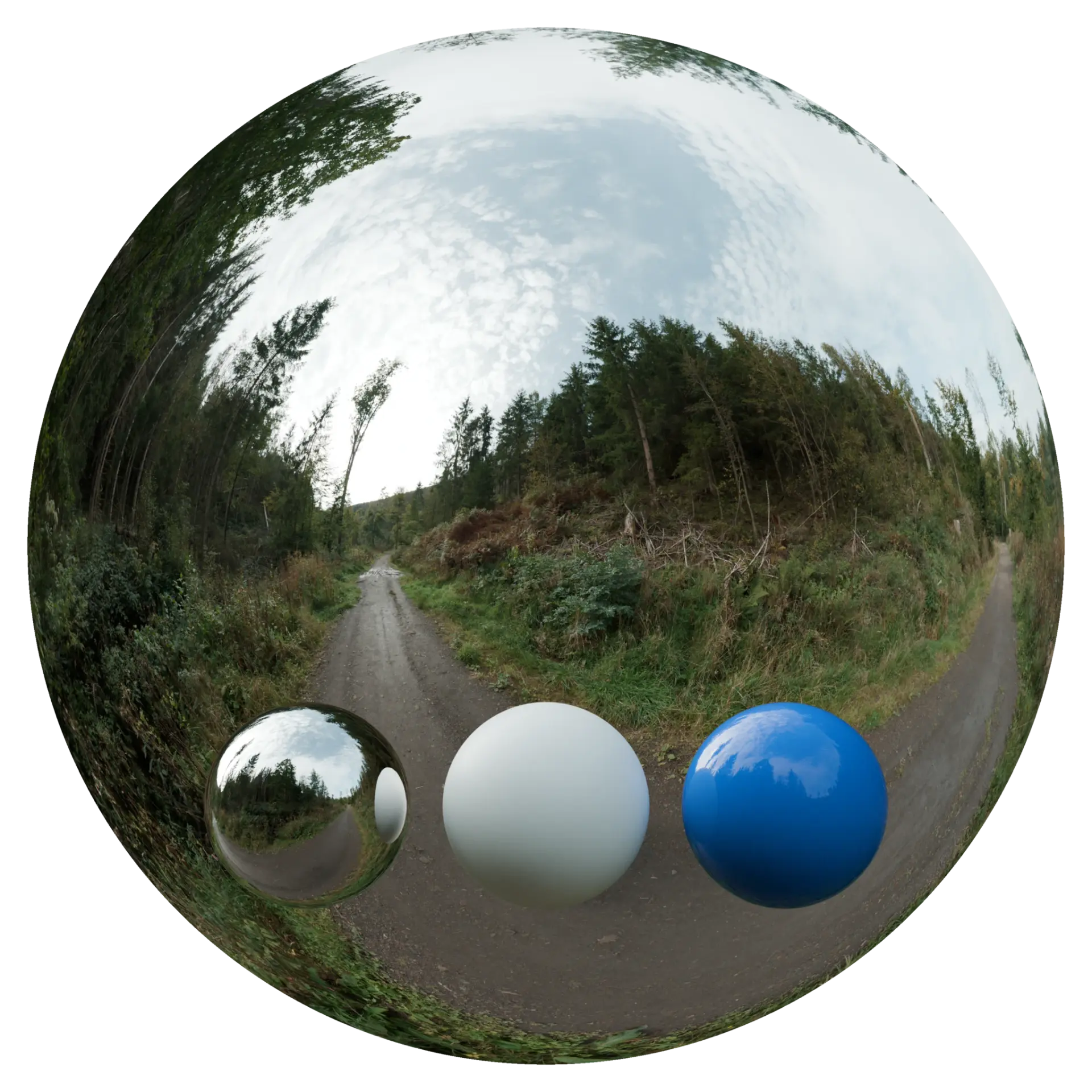 Day Environment HDRI 042 — preview 1 (ambientCG, CC0)