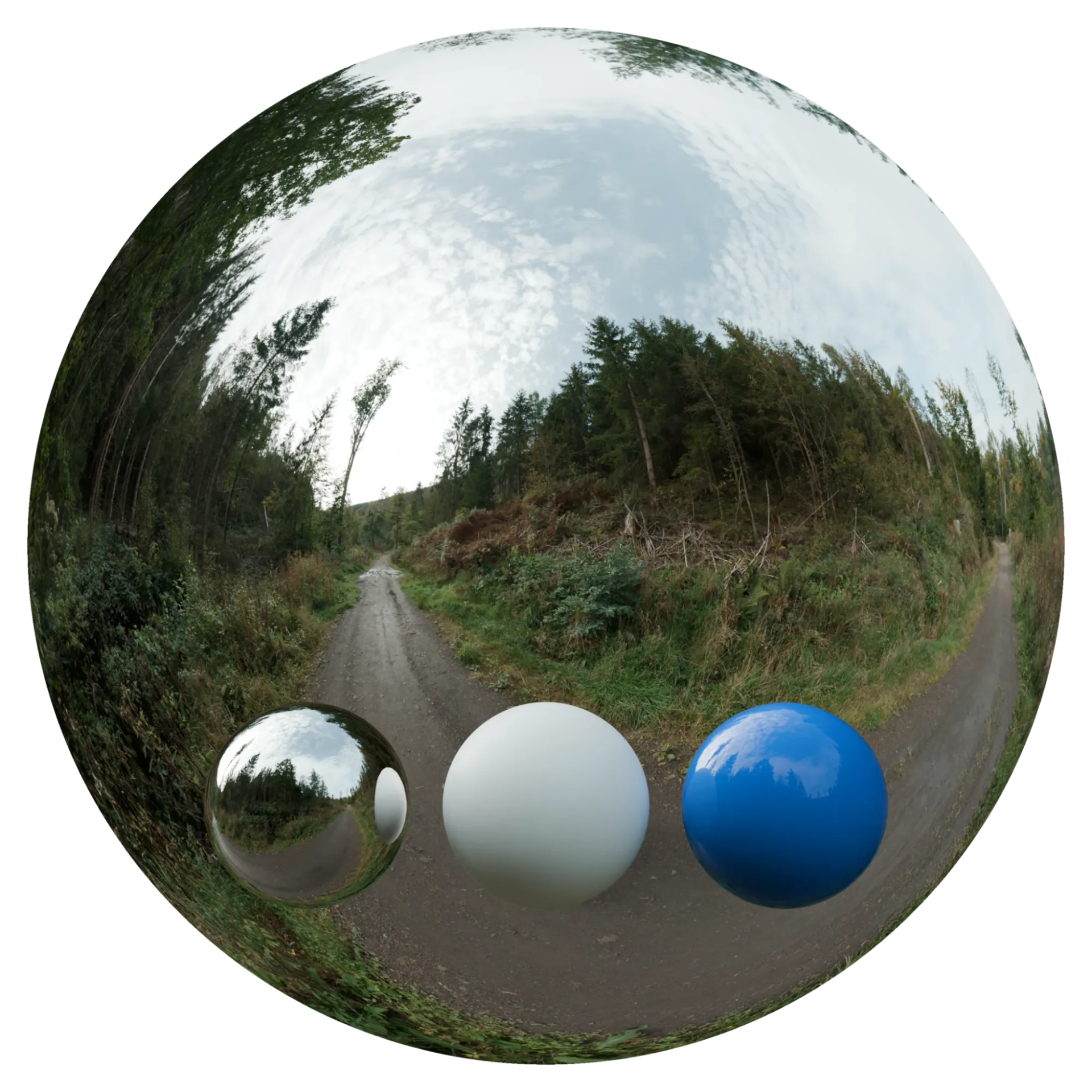 Day Environment HDRI 042