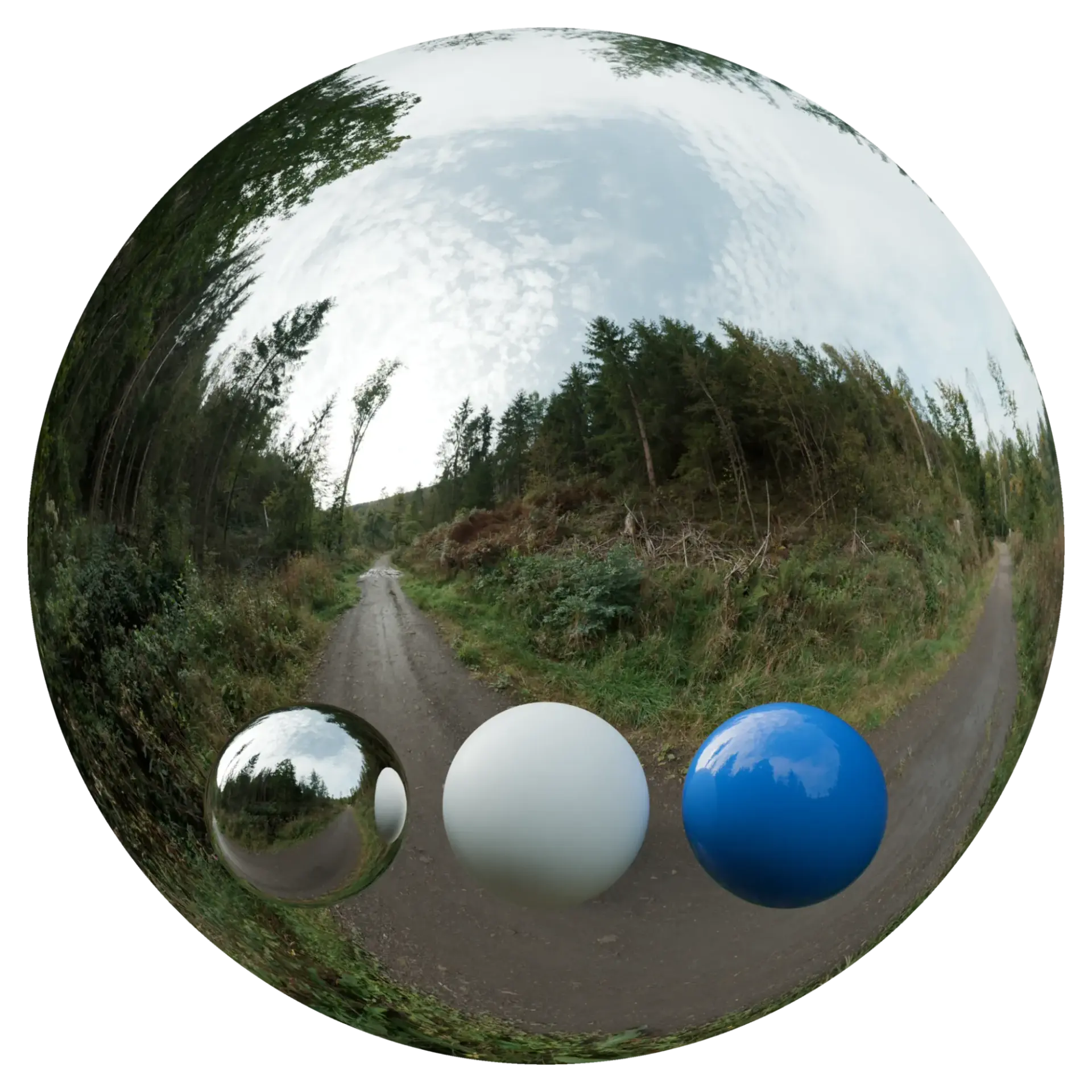 Day Environment HDRI 042