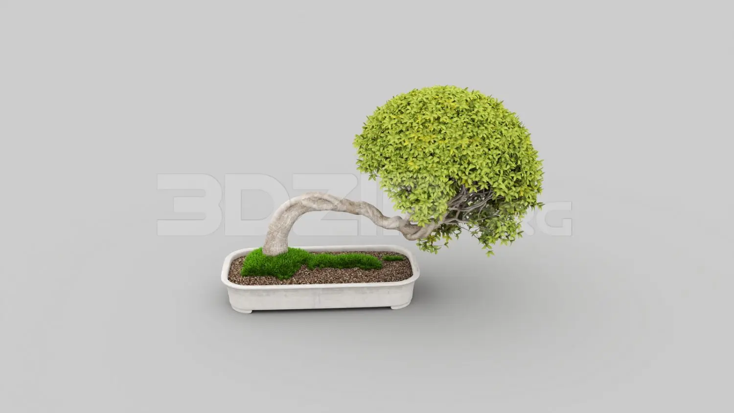 BonSai Tree — preview 1 (3dzip)