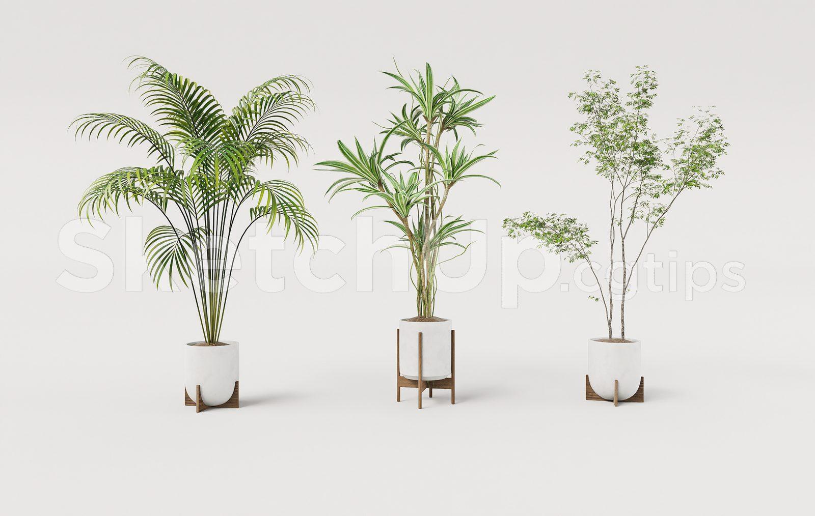 Modern Indoor Potted Plants