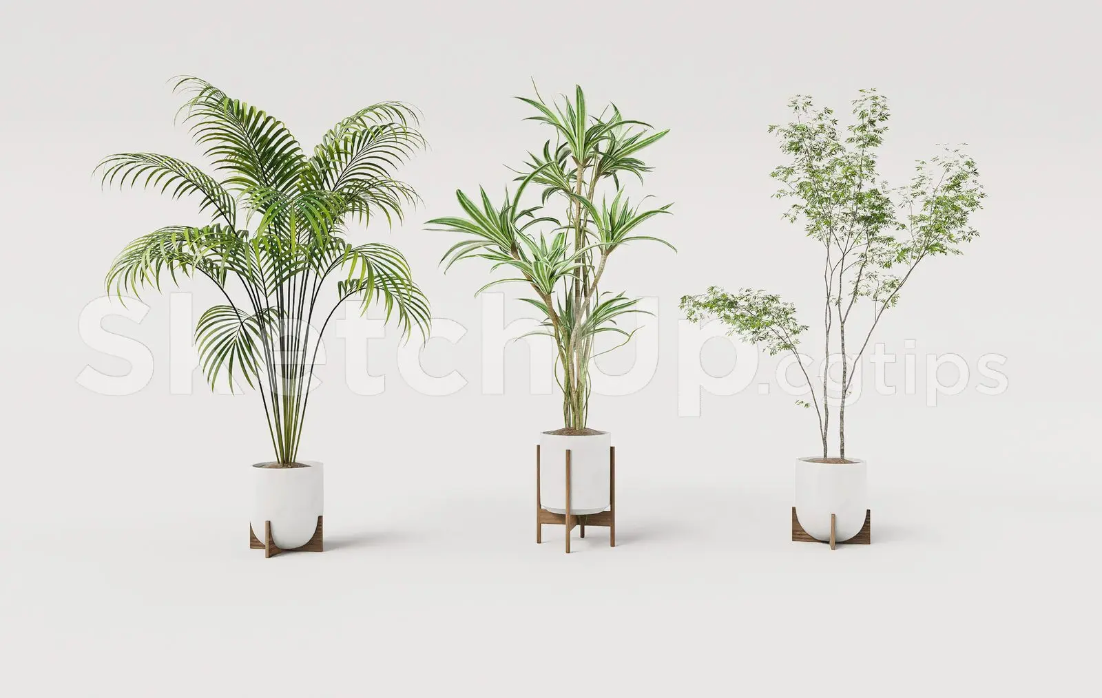 Modern Indoor Potted Plants