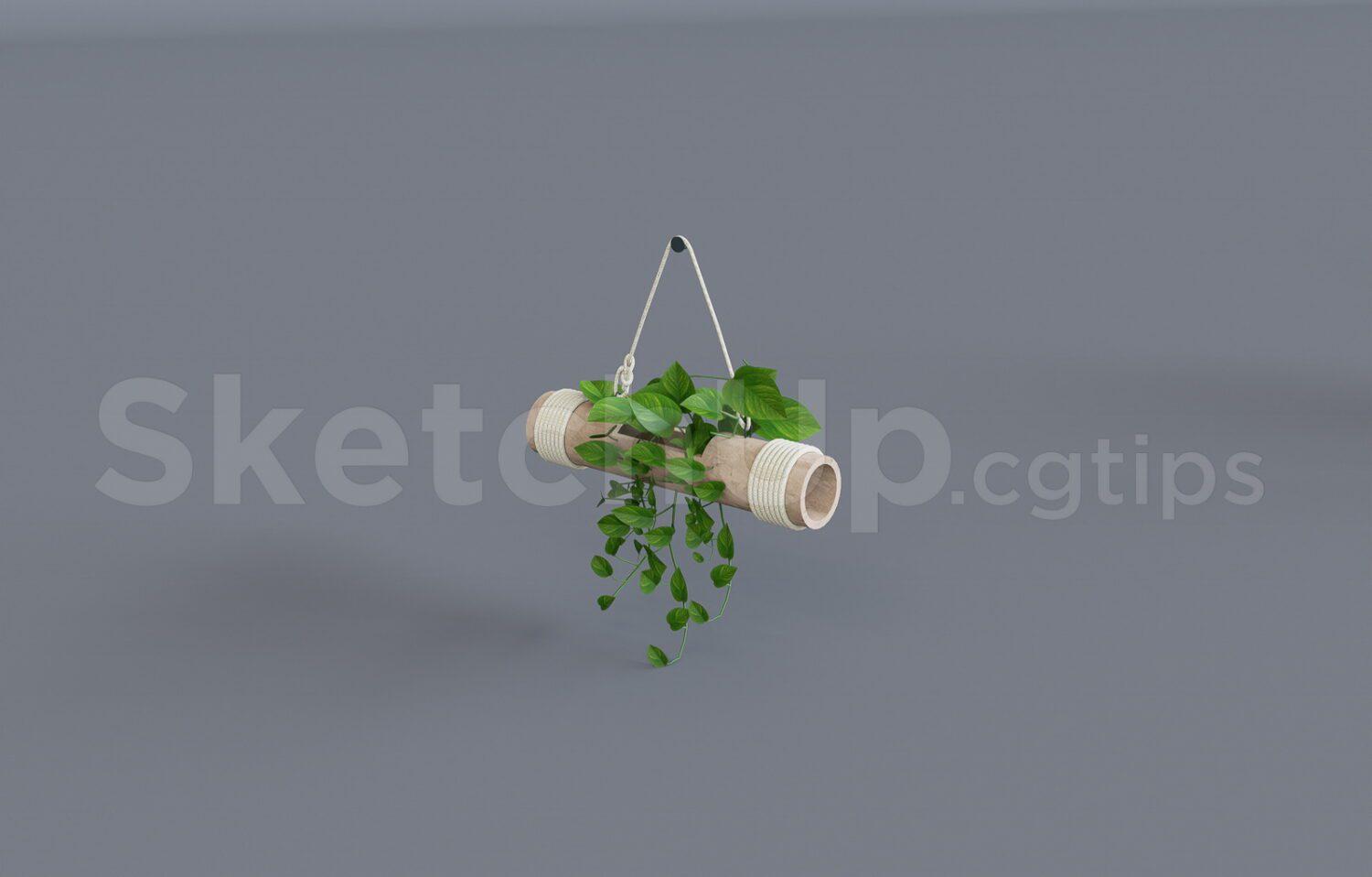 Plant