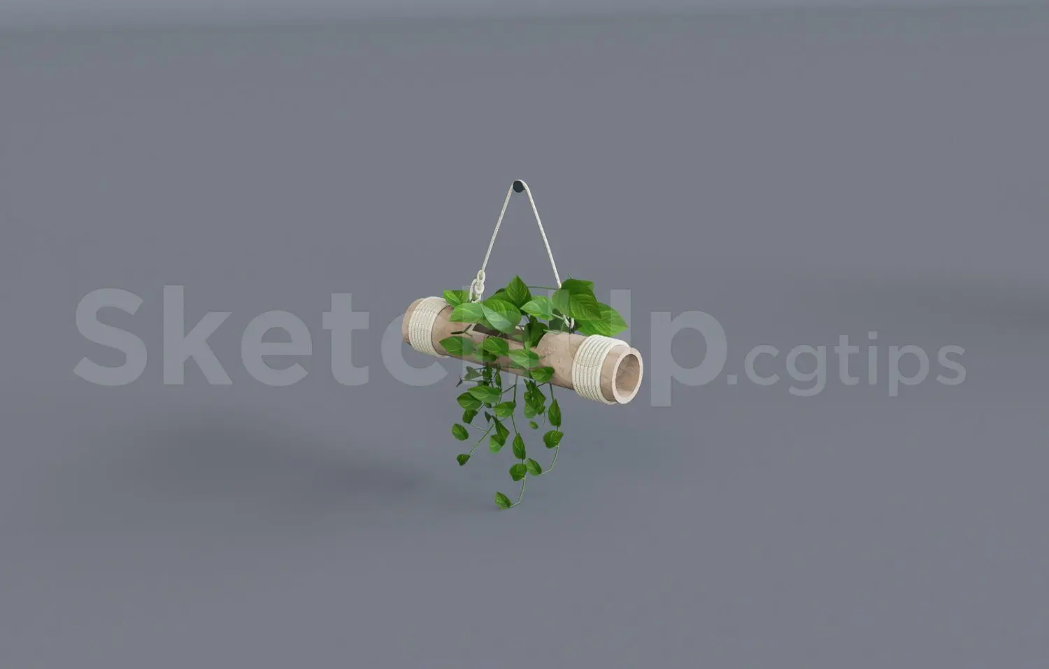 Plant