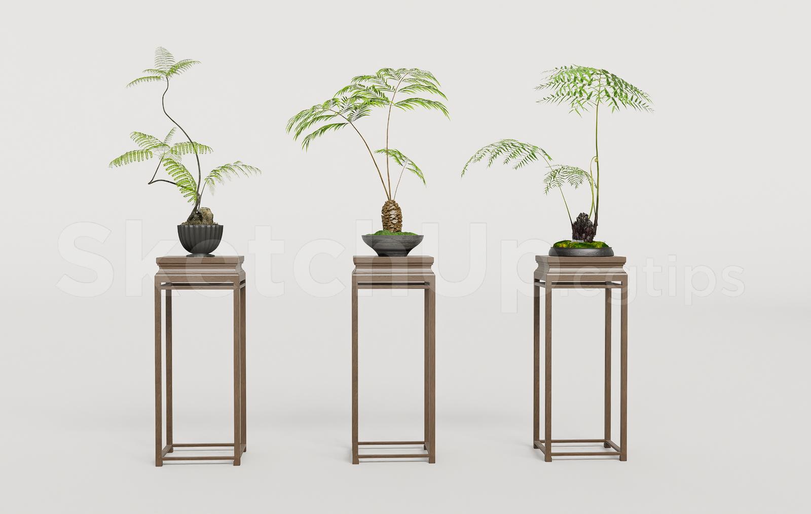 Zen Potted Plants with Wooden Pedestals