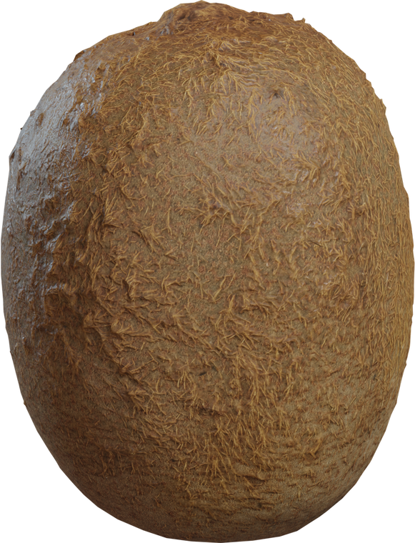 Food Kiwi 1