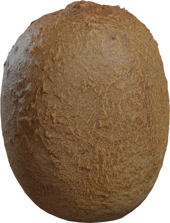 Food Kiwi 1