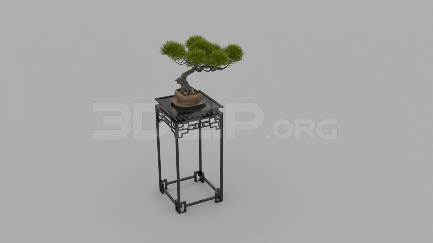 Bonsai