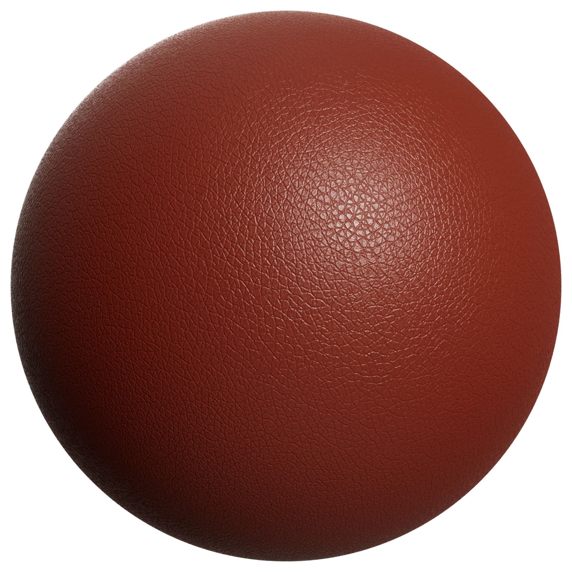 Leather 037