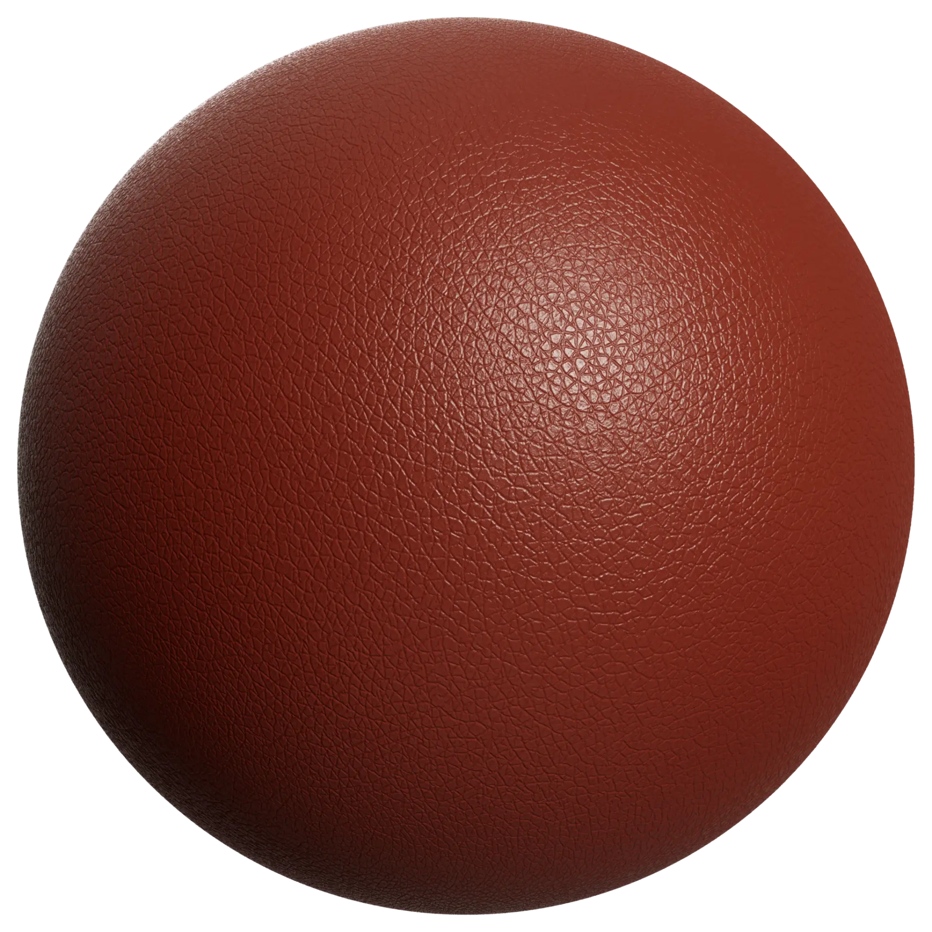 Leather 037