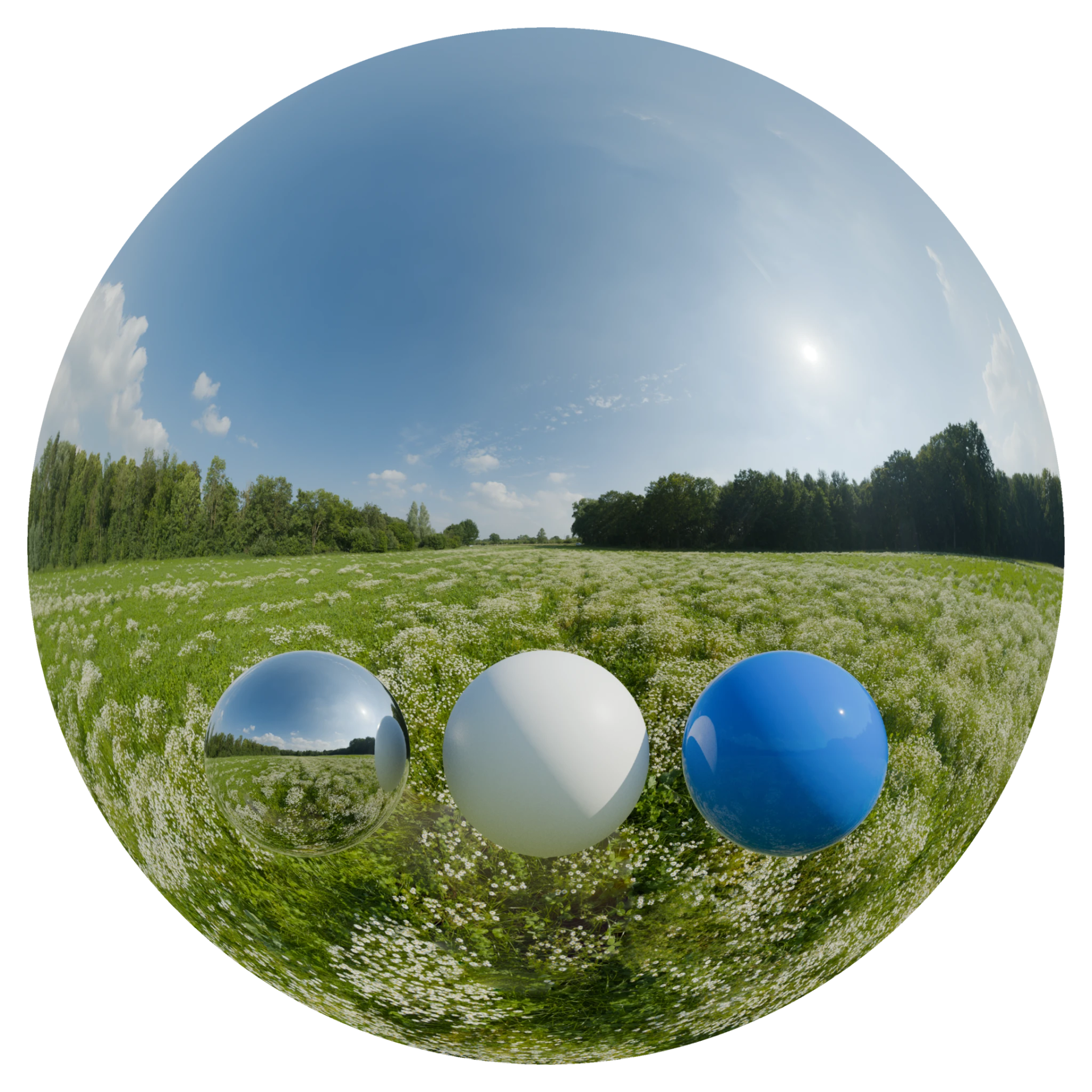 Day Environment HDRI 112