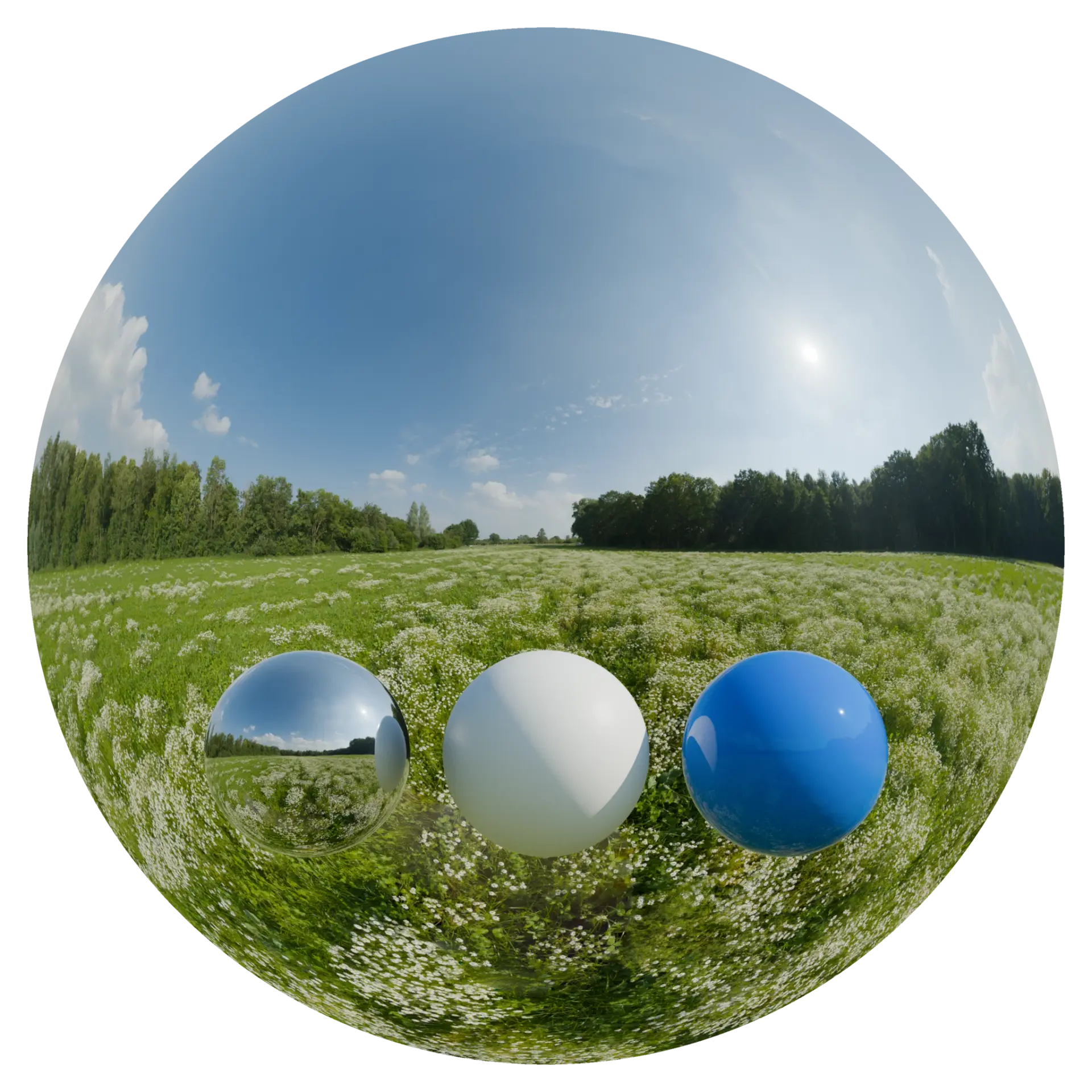 Day Environment HDRI 112