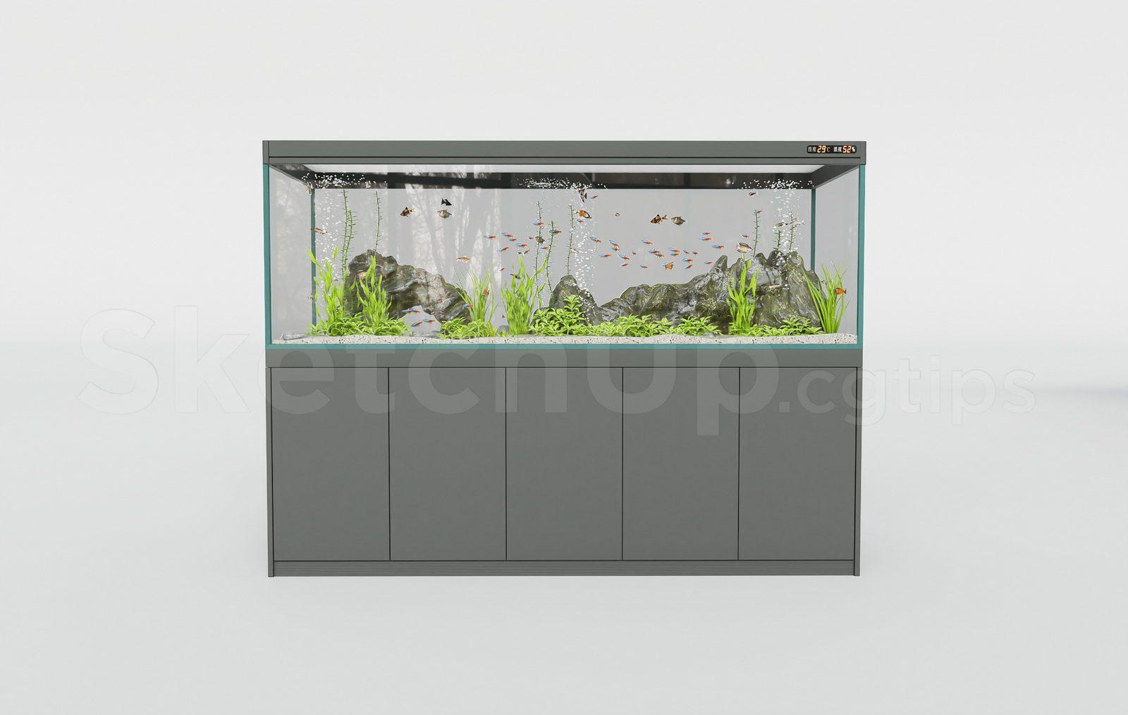 Aquarium Tank