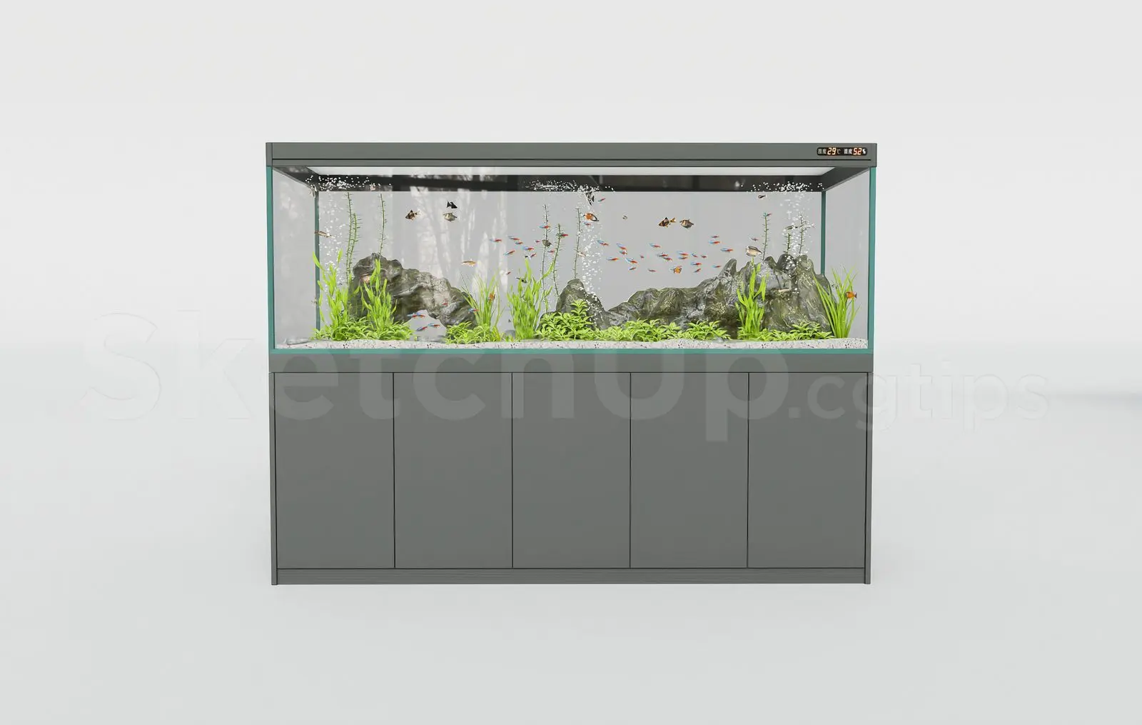 Aquarium Tank