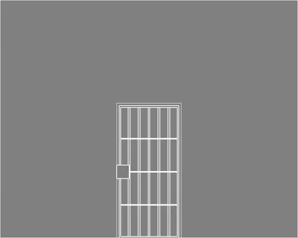 Security Storm Door