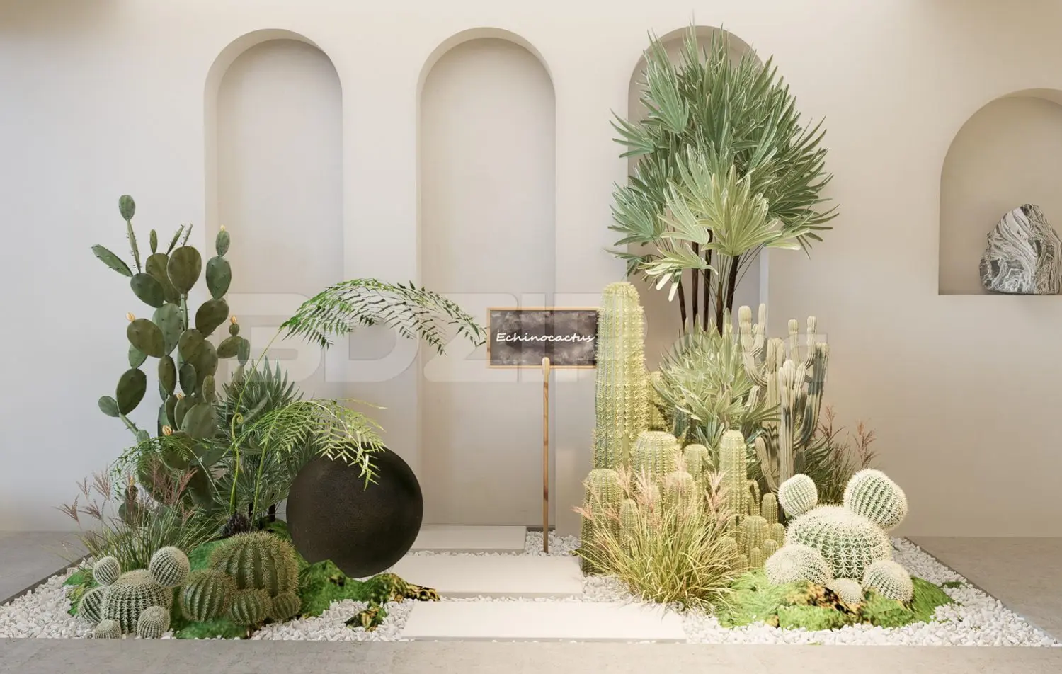 Plants