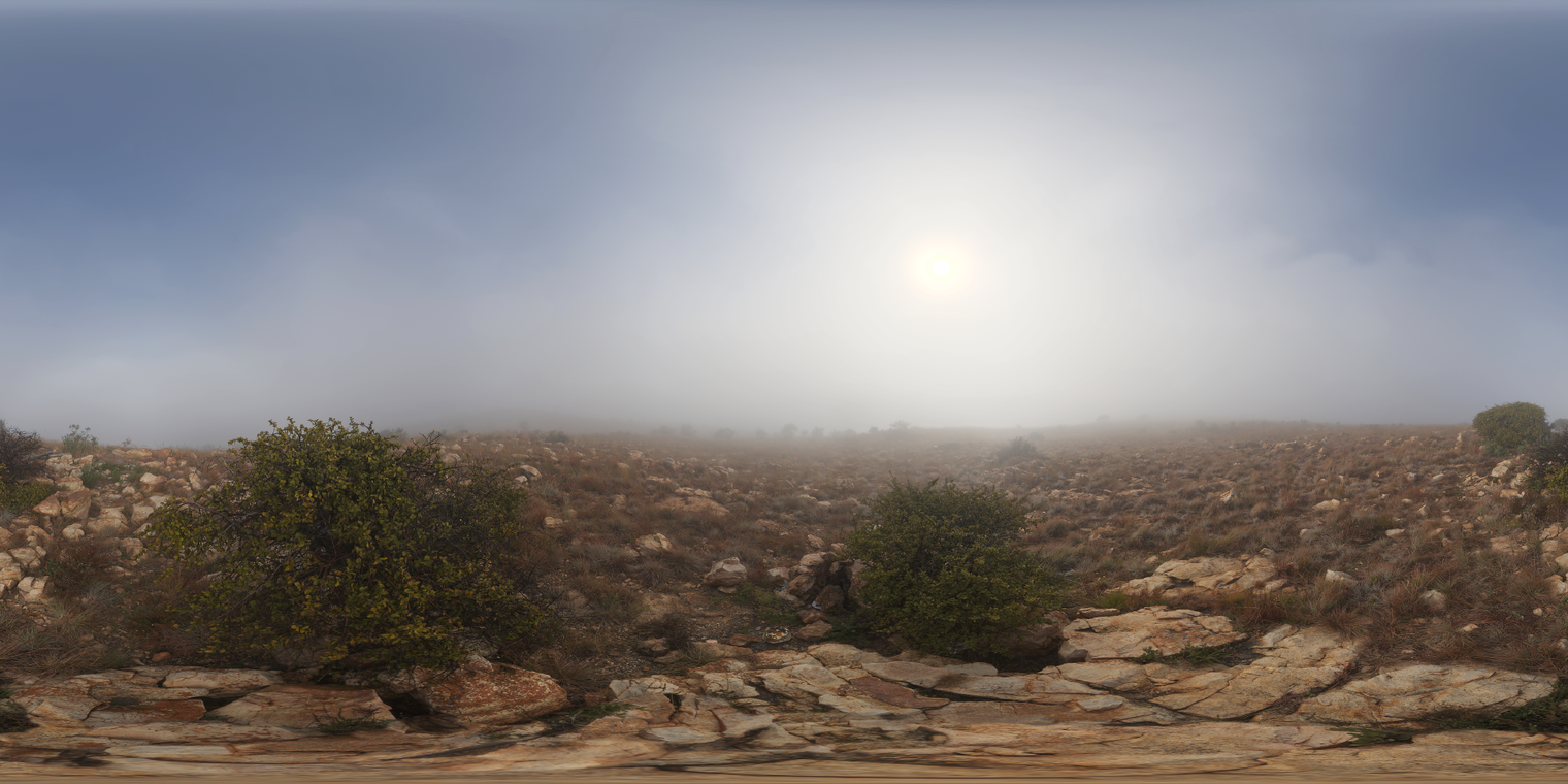 Kloofendal 28d Misty