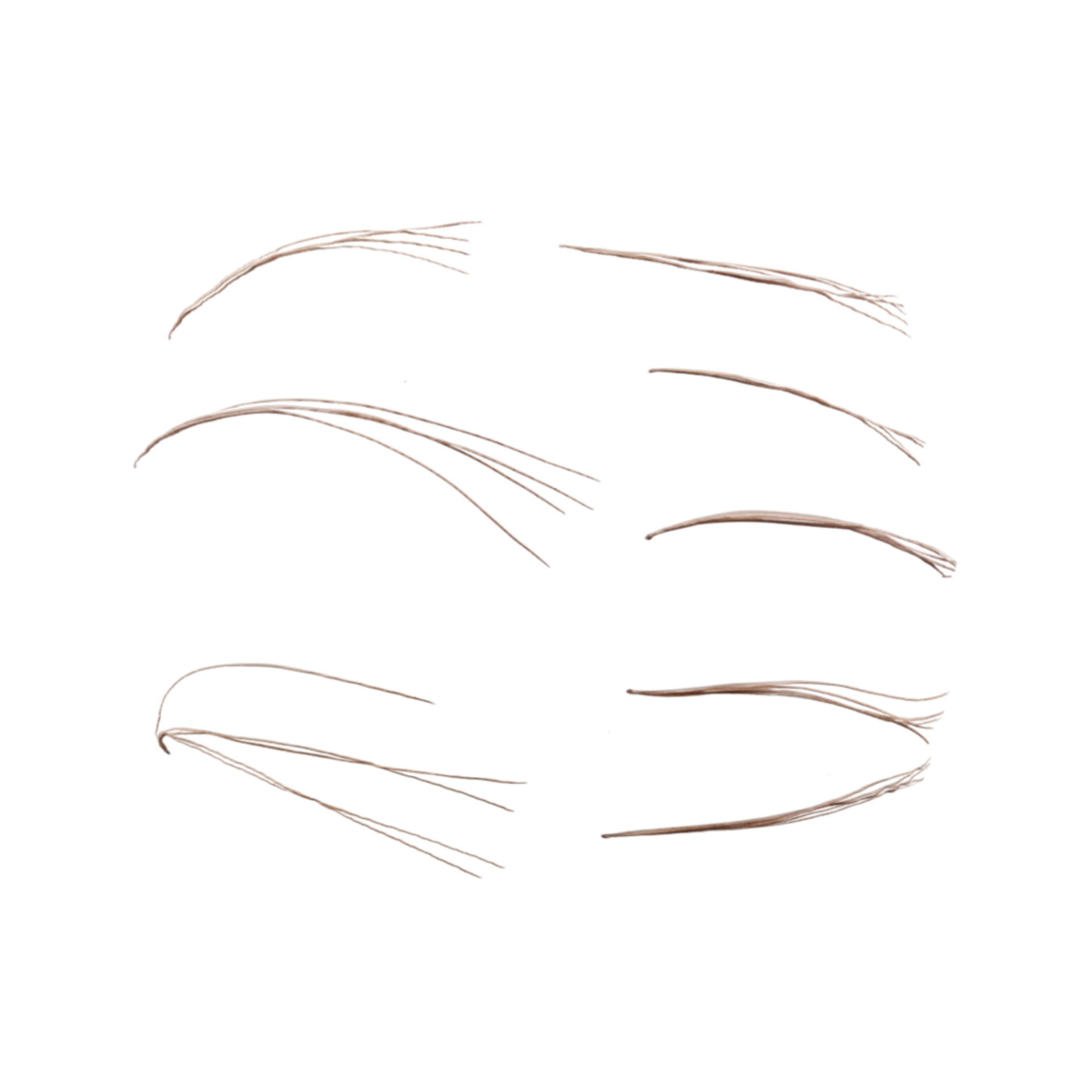 Pine Needles 001