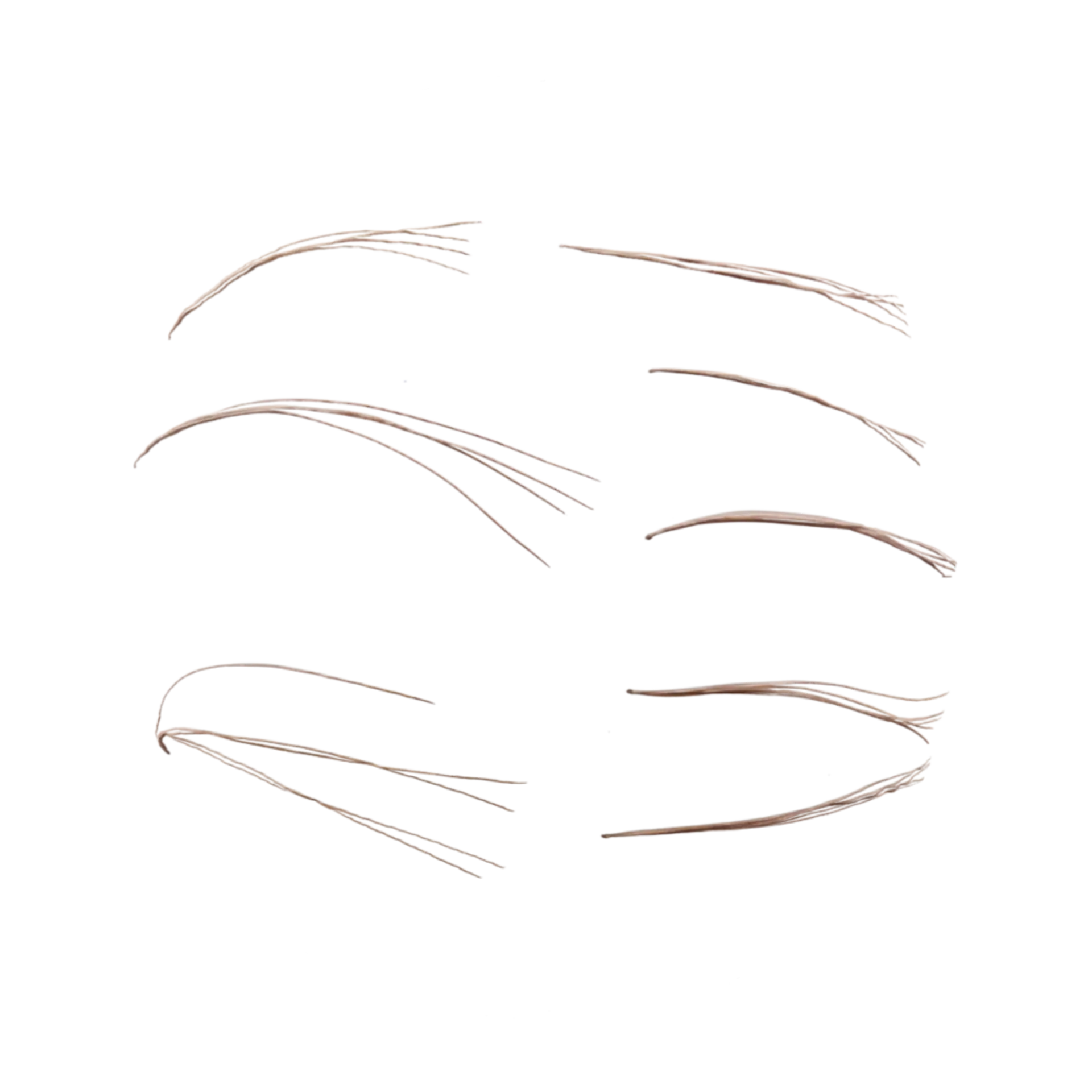 Pine Needles 001