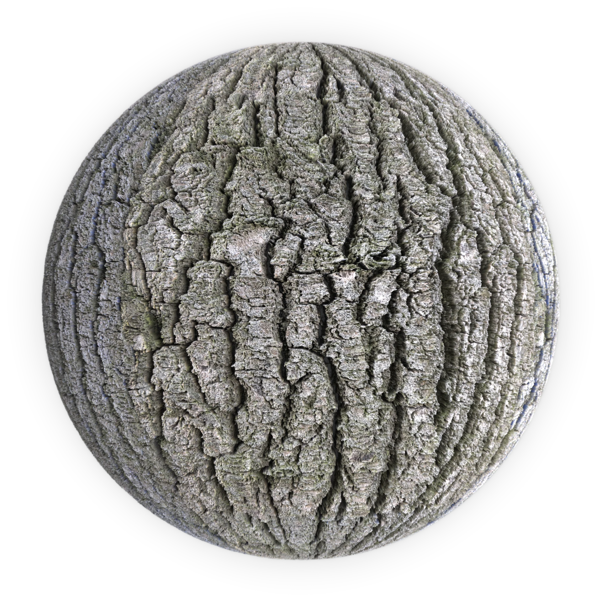 Bark 001
