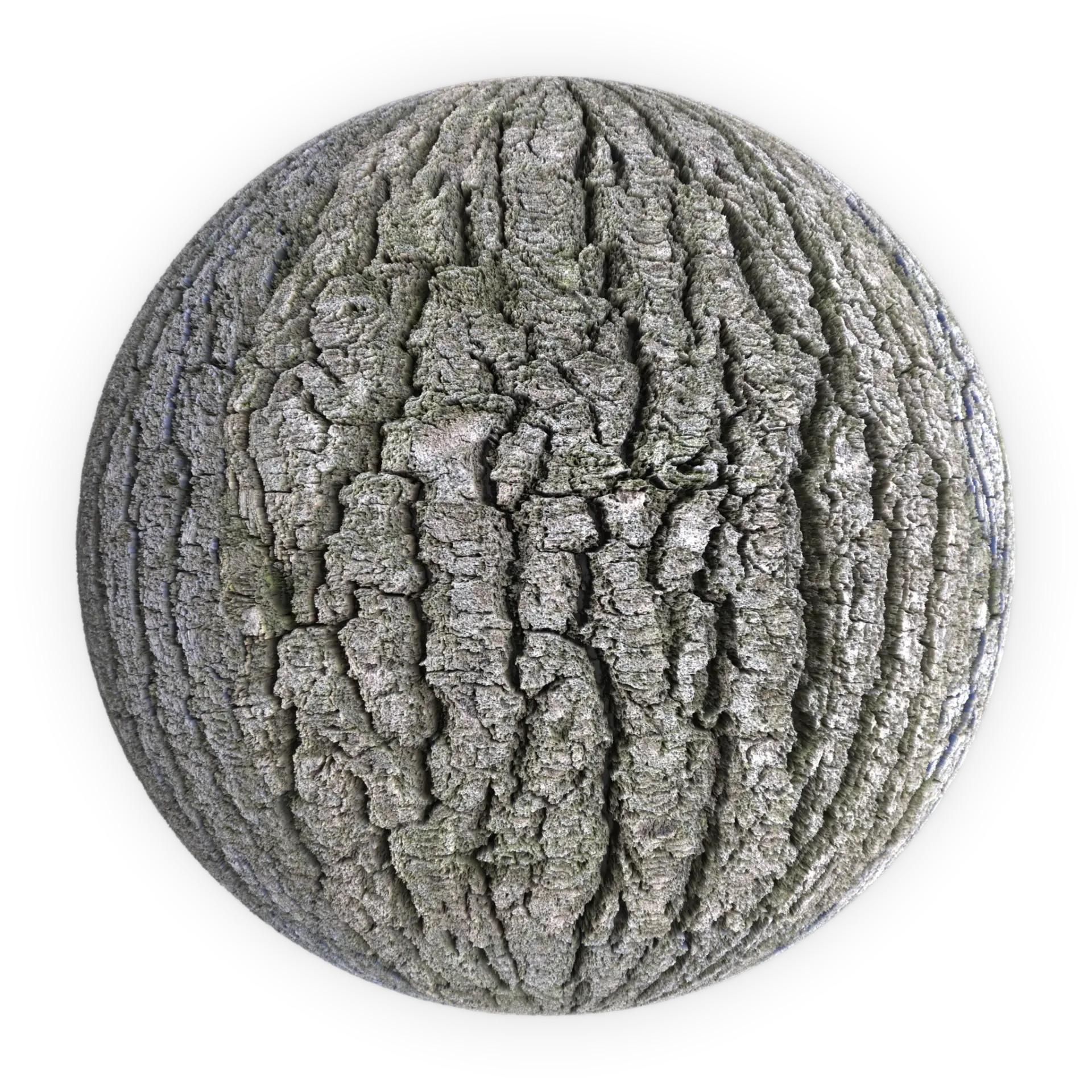 Bark 001
