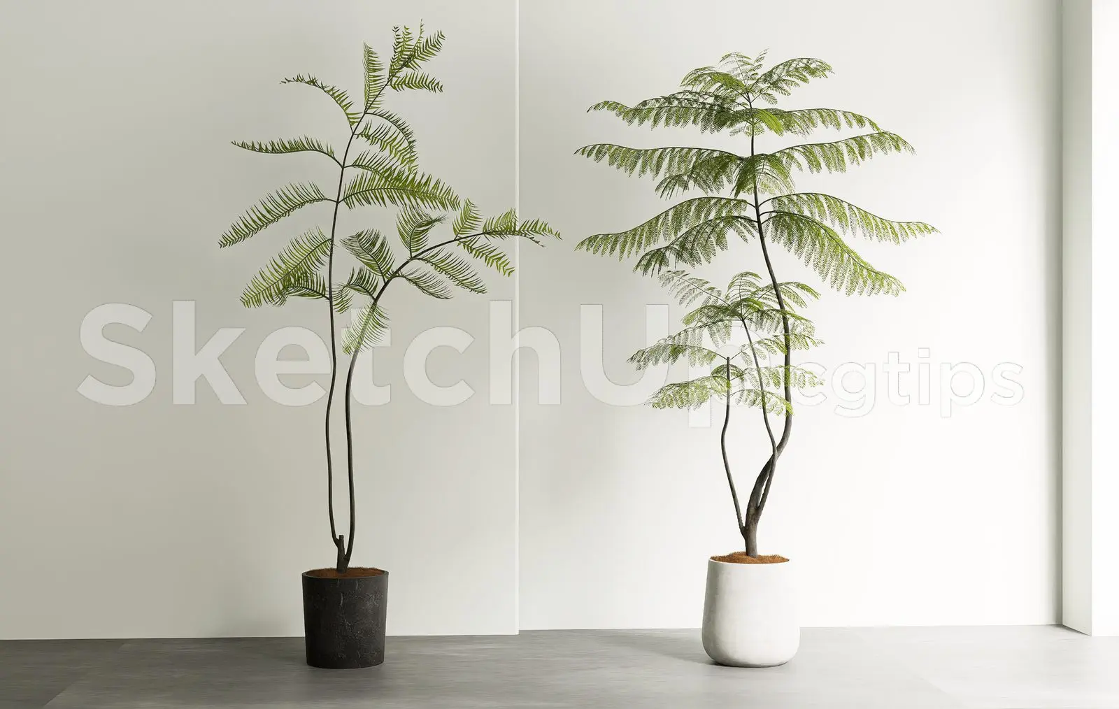 Plant — preview 1 (cgtips)